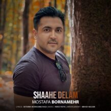 آهنگ جدید مصطفی برنامهر به نام شاه دلم